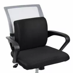 Mind Reader Harmony Collection Foam Back Supports, Black (BACKFOAM-BLK) -Office Chairs Sale 40241318 E6EA 453F 9FAC124277268533 s7
