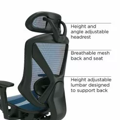Union & Scale™ FlexFit™ Dexley Ergonomic Mesh Swivel Task Chair, Blue (UN59375)