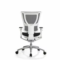 Raynor Eurotech IOO Series Mid-Back Managers Chair, Mesh, Black With White Frame -Office Chairs Sale m002480242 s7