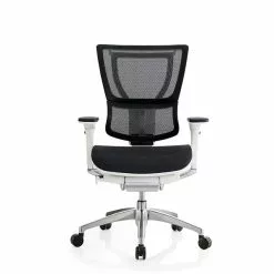 Raynor Eurotech IOO Series Mid-Back Managers Chair, Mesh, Black With White Frame -Office Chairs Sale m002480243 s7