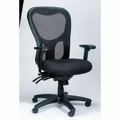 Raynor Eurotech Seating Apollo Mesh Desk Chair, Center And Forward Tilt, Black