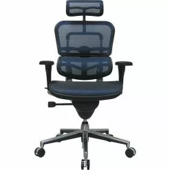 Raynor Eurotech Ergo Human High Back Managers Chair, With Headrest And Mesh, Blue -Office Chairs Sale s0790391 s7
