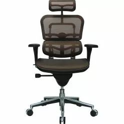 Raynor Eurotech Ergo Human High Back Managers Chair, With Headrest And Mesh, Orange -Office Chairs Sale s0790396 s7