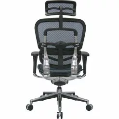 Raynor Eurotech Ergo Human High Back Managers Chair, With Headrest And Mesh, Blue