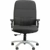 Raynor Eurotech Excelsior Fabric Big And Tall Manager's Chair, Black (BM90000-BLK)