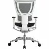 Raynor Eurotech IOO Series Mid-Back Managers Chair, Mesh, Black With White Frame
