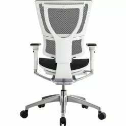 Raynor Eurotech IOO Series Mid-Back Managers Chair, Mesh, Black With White Frame