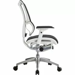 Raynor Eurotech IOO Series Mid-Back Managers Chair, Mesh, Black With White Frame -Office Chairs Sale s0912633 s7