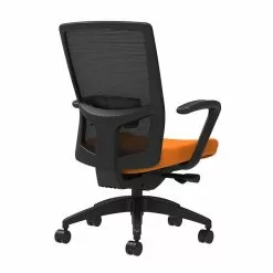 Union & Scale Workplace2.0™ Fabric Task Chair, Apricot, Adjustable Lumbar, Fixed Arms, Adv Synchro-Tilt Seat Control (53661)