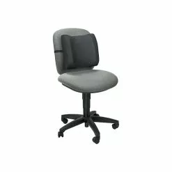 Fellowes Standard Back Support, Black (91905)